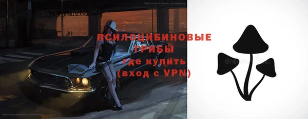 2c-b Алексин
